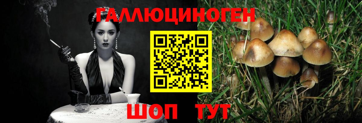 Нефтекумск  Галлюциногенные грибы мицелий  Галлюциногенные грибы мухоморы  Вход с VPN 