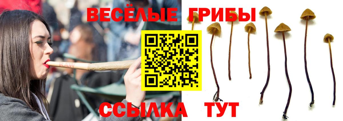 Псилоцибиновые грибы мицелий Нефтекумск